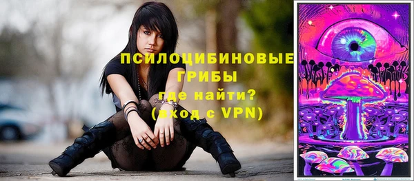 Альфа ПВП Алзамай